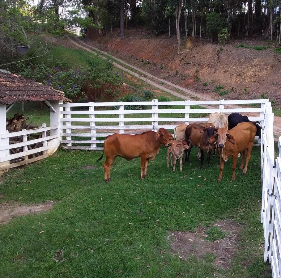 Chales Vinhas Da Harmonia L Pousada Em Cunha Sp מראה חיצוני תמונה